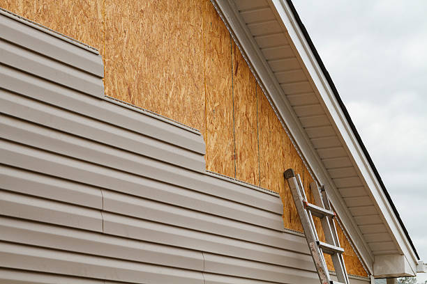 Professional Siding Repair technician working in Virginia Beach, VA